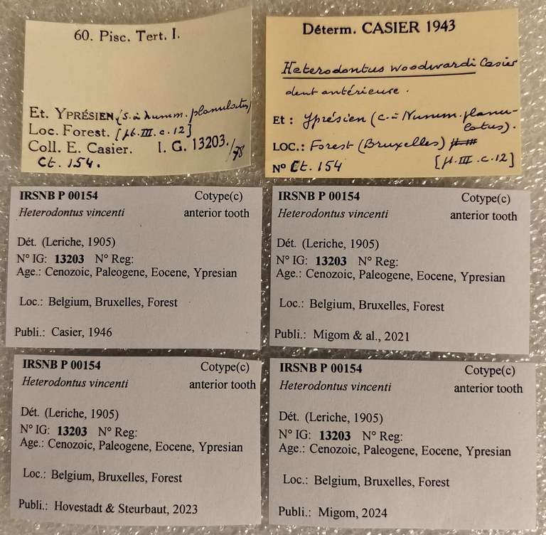IRSNB P 00154 Labels