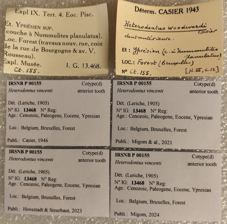 IRSNB P 00155 Labels