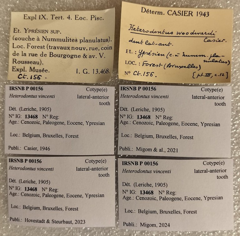 IRSNB P 00156 Labels