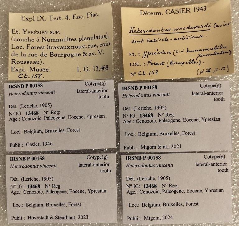 IRSNB P 00158 Labels