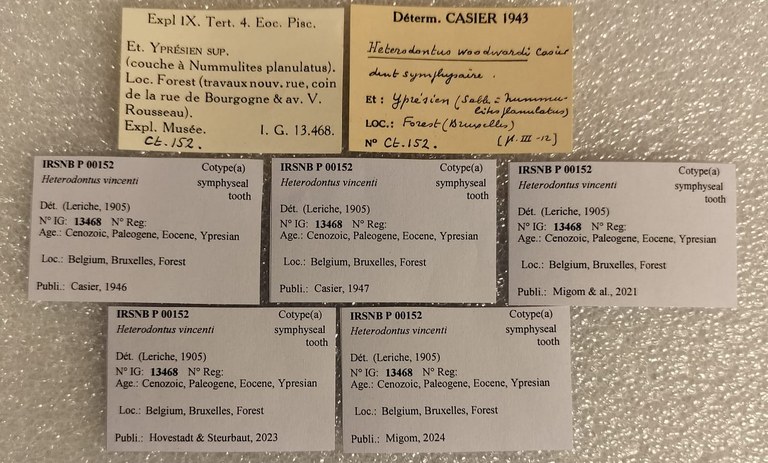 IRSNB P 00152 Labels