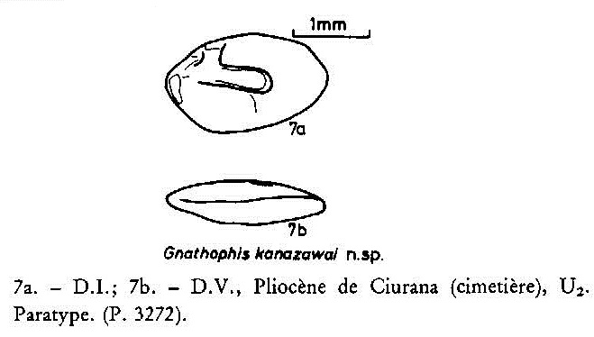 IRSNB P 03272 publi