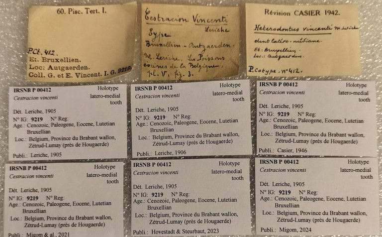 IRSNB P 00412 Labels