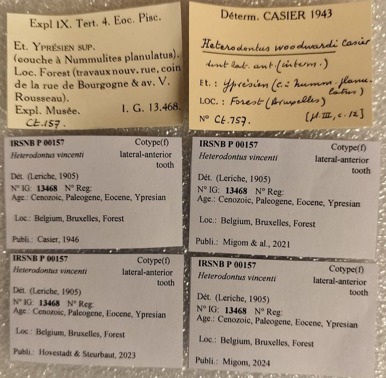 IRSNB P 00157 Labels