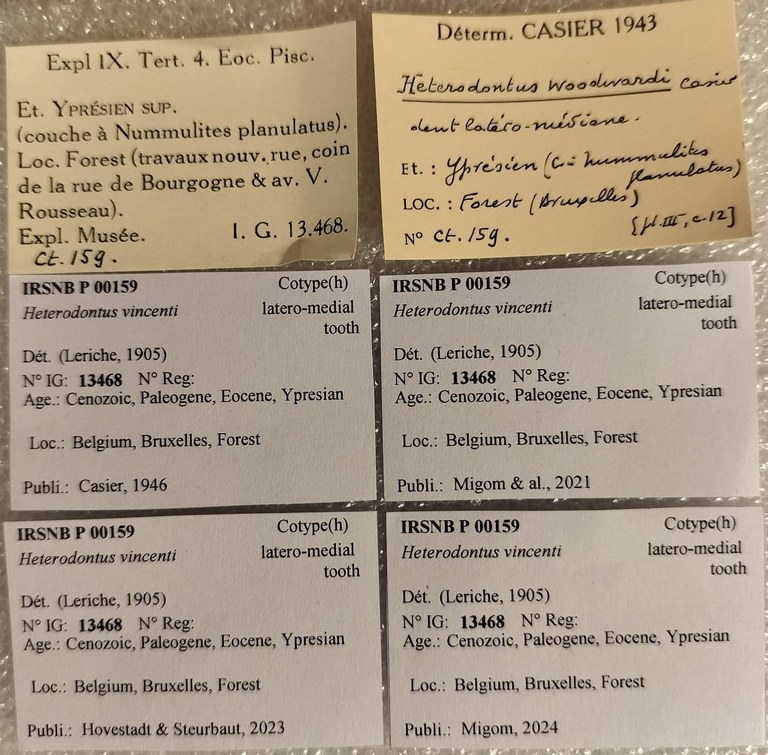 IRSNB P 00159 Labels