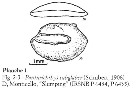 IRSNB P 06435 publi