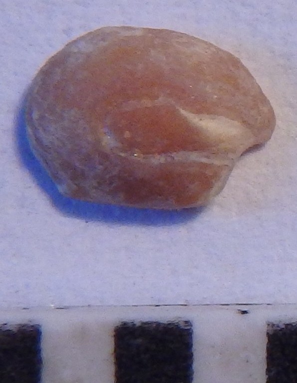 IRSNB P 06434