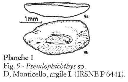 IRSNB P 06441 publi