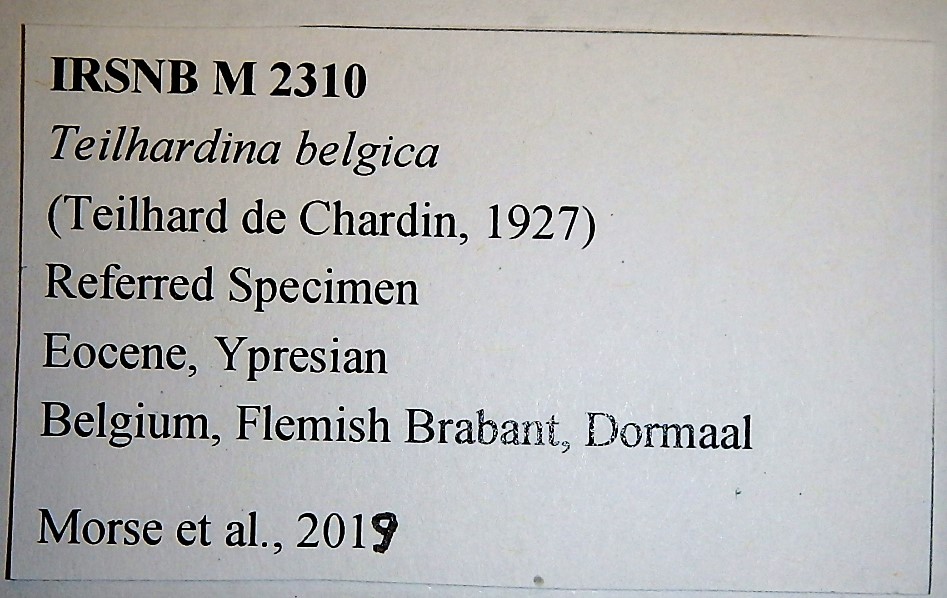 IRSNB M 2310 Label