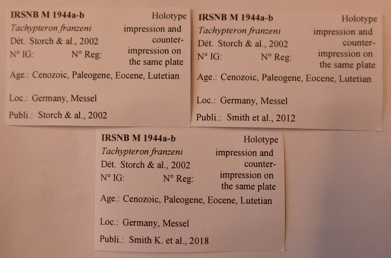 IRSNB M 1944a-b Labels
