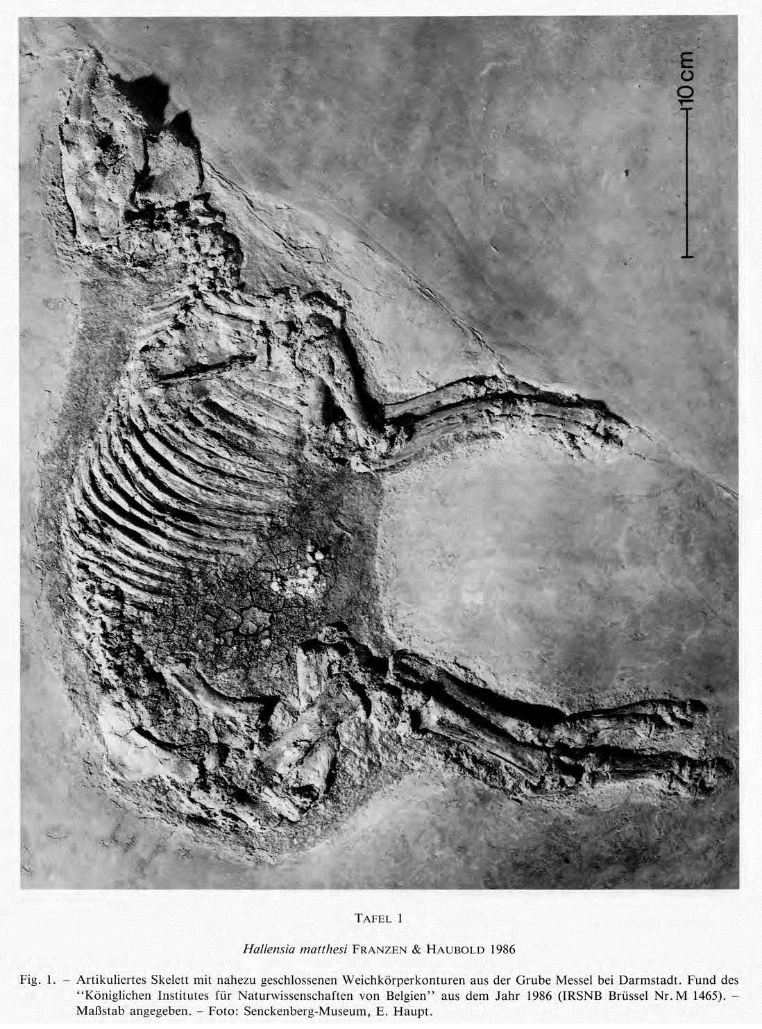 IRSNB M 1465 publi 2