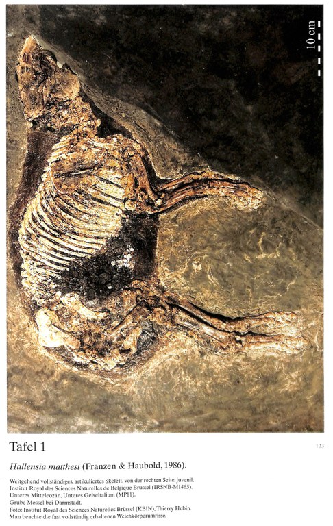 IRSNB M 1465 publi 7