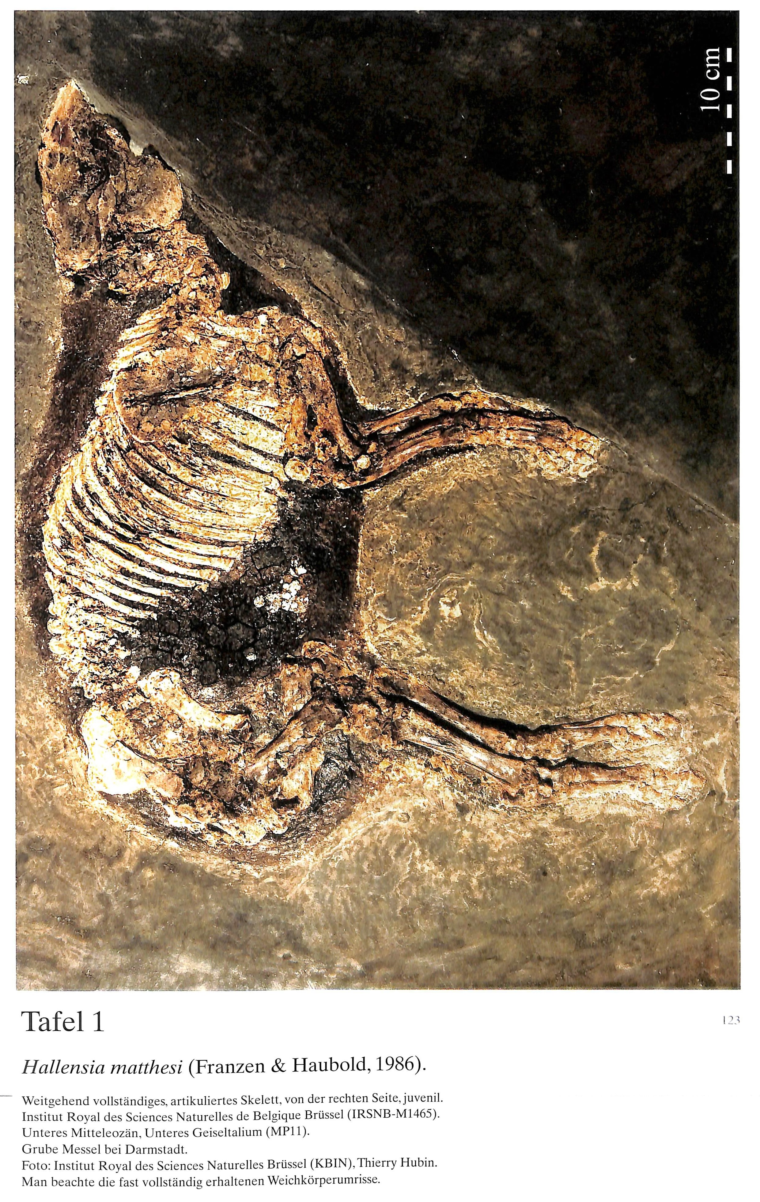 IRSNB M 1465 publi 7