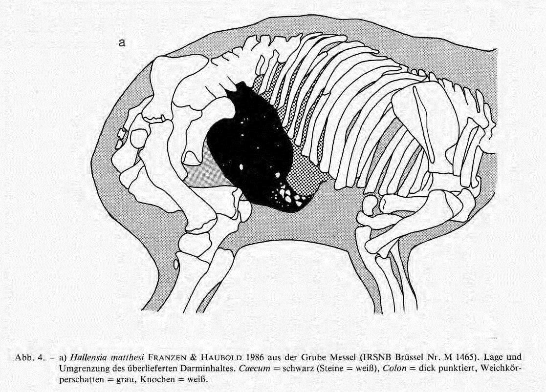 IRSNB M 1465 publi 3