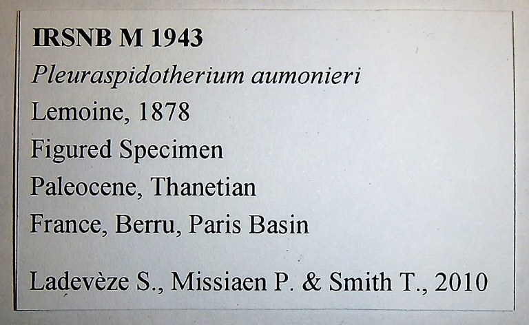 IRSNB M 1943 Label