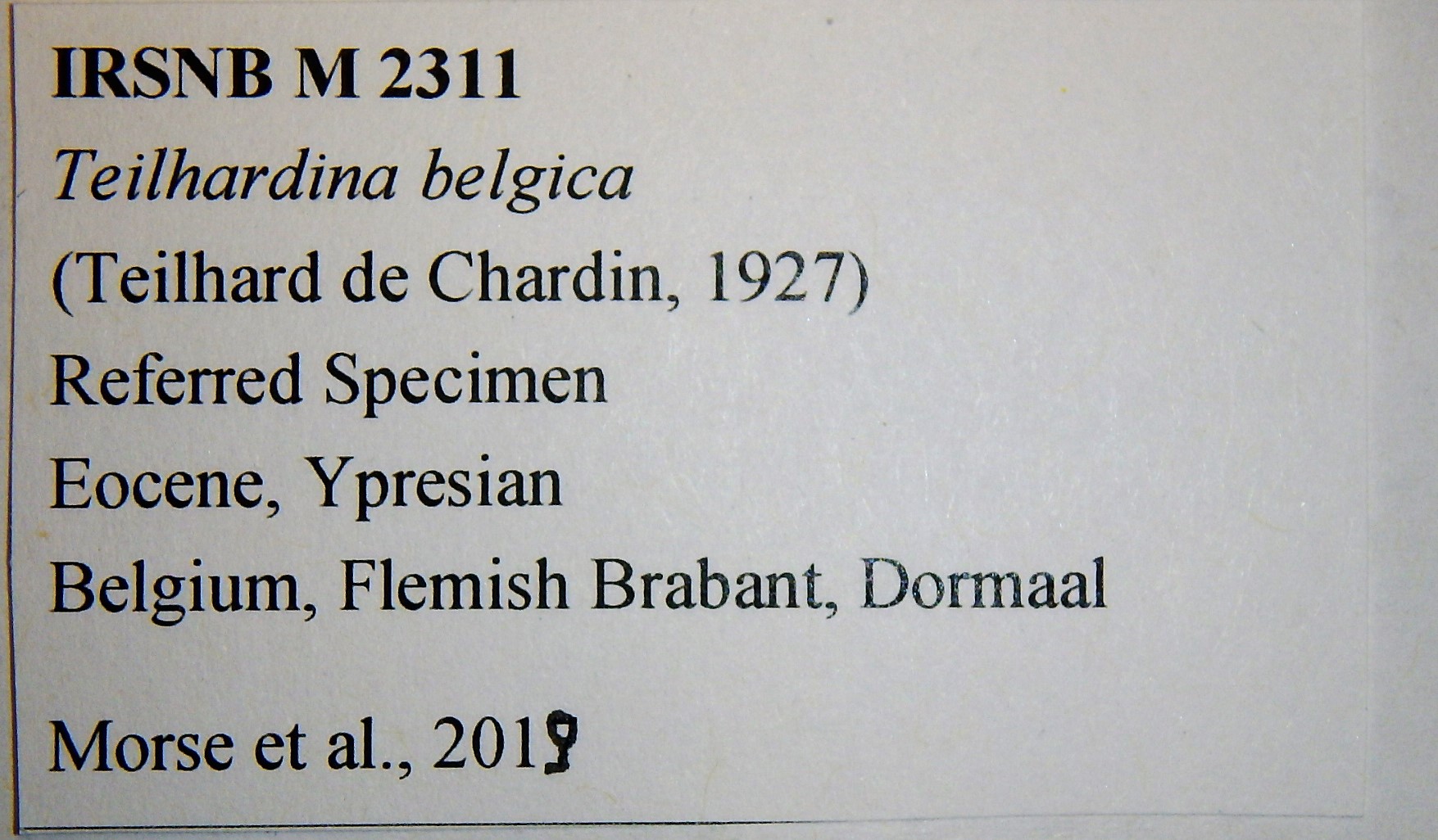 IRSNB M 2311 Label