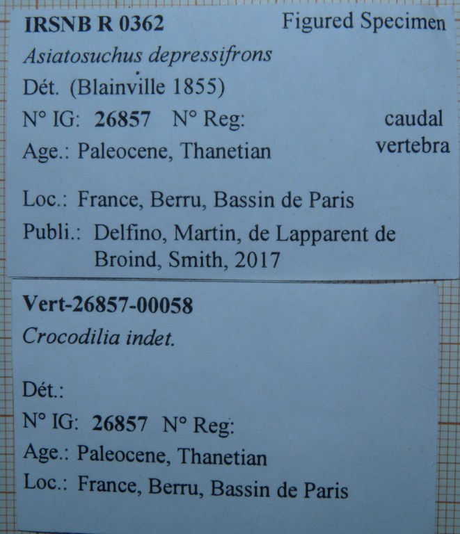 IRSNB R 0362 Labels