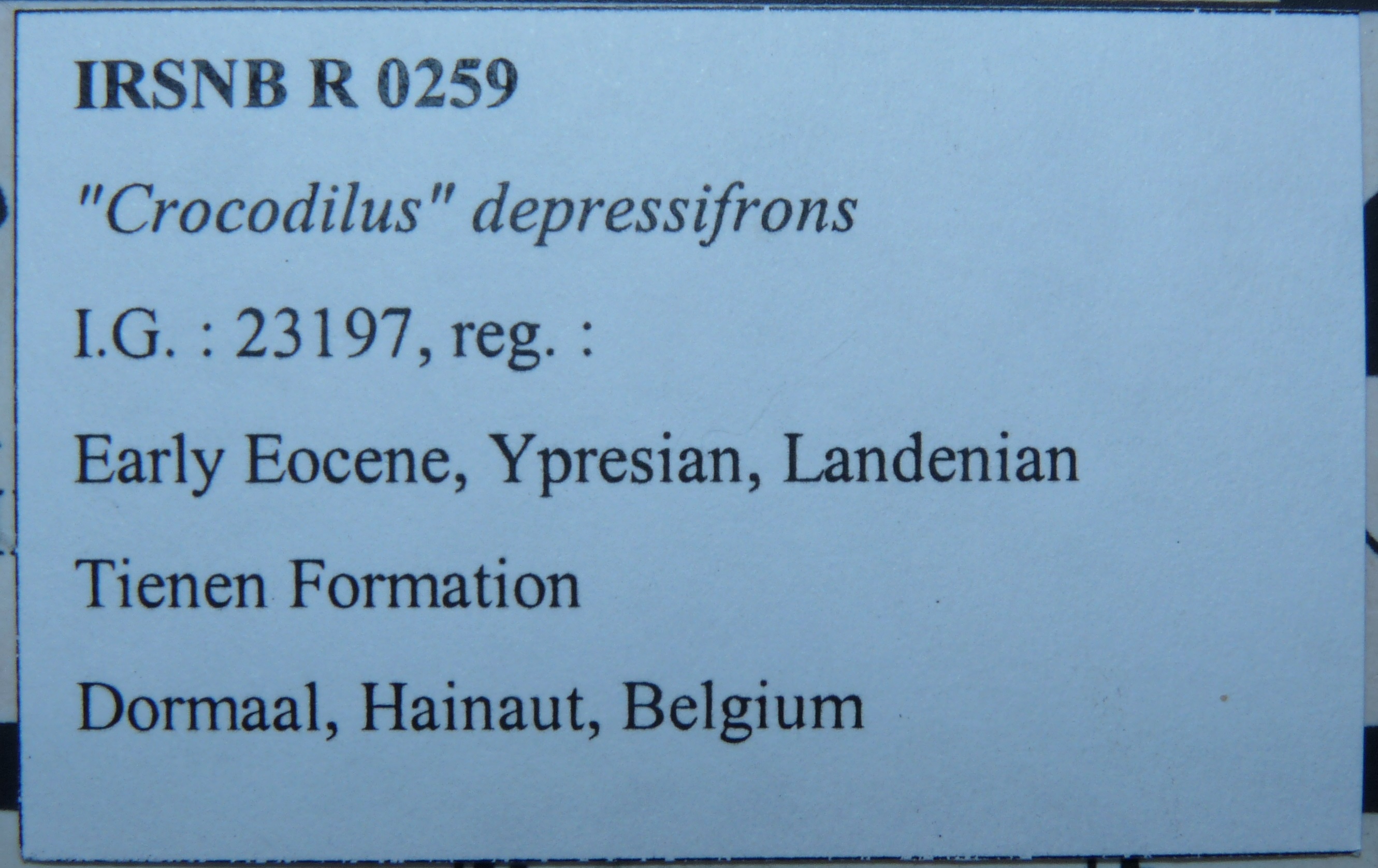 IRSNB R 0259 Labels