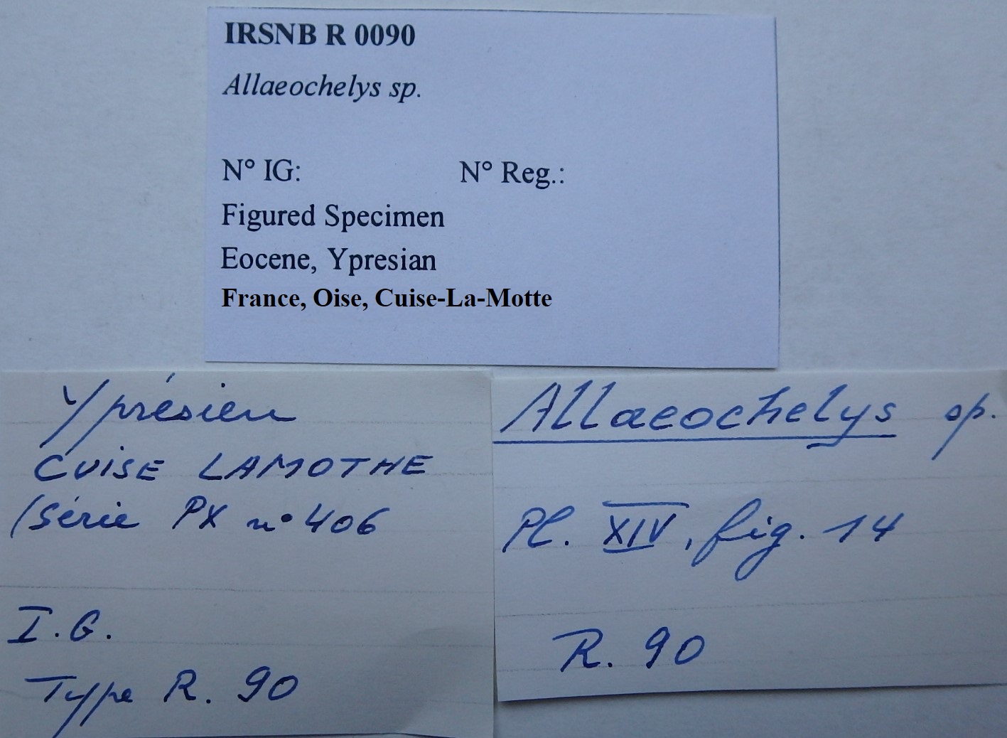 IRSNB R 0090 Labels