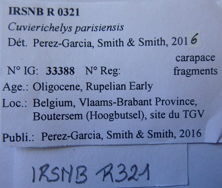 IRSNB R 0321 Labels