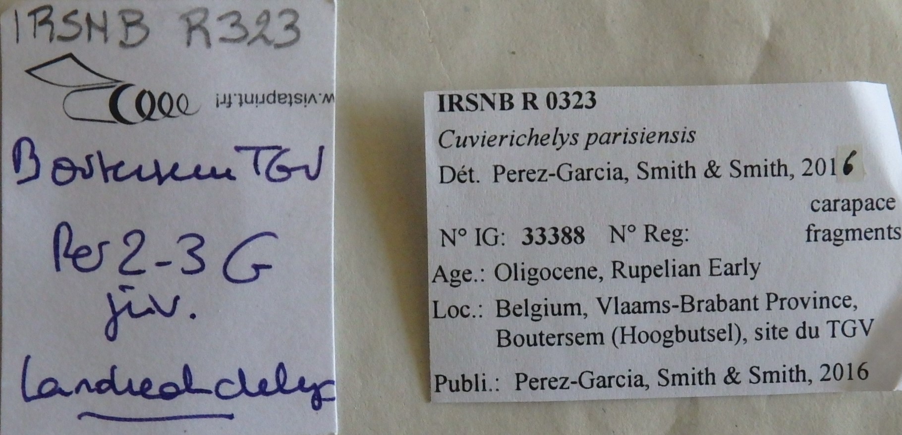 IRSNB R 0323 Labels