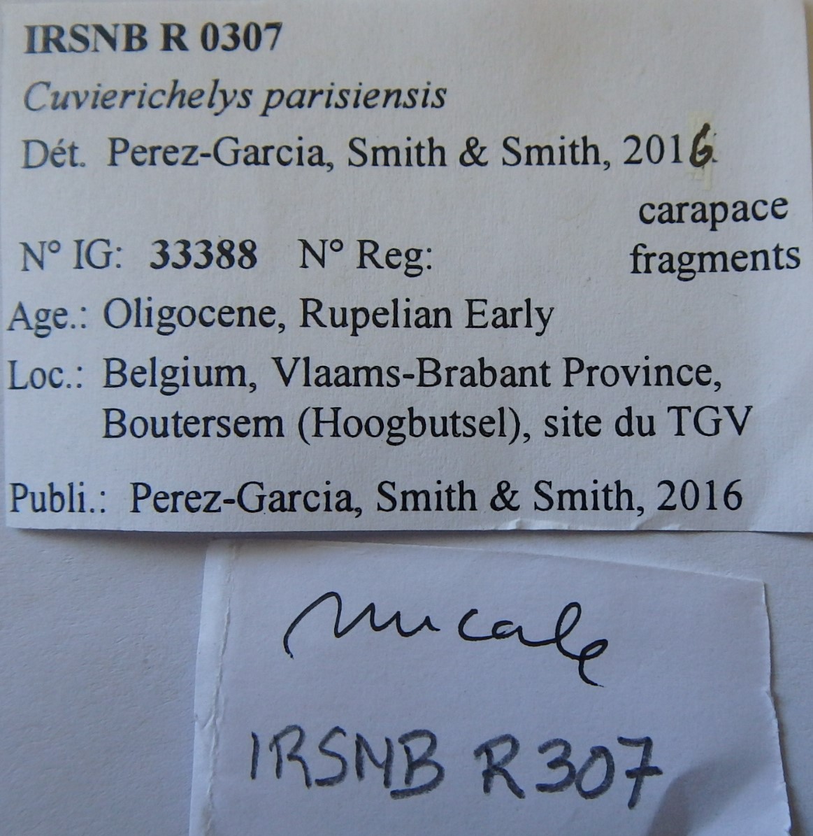 IRSNB R 0307 Labels