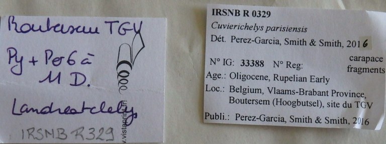 IRSNB R 0329 Labels