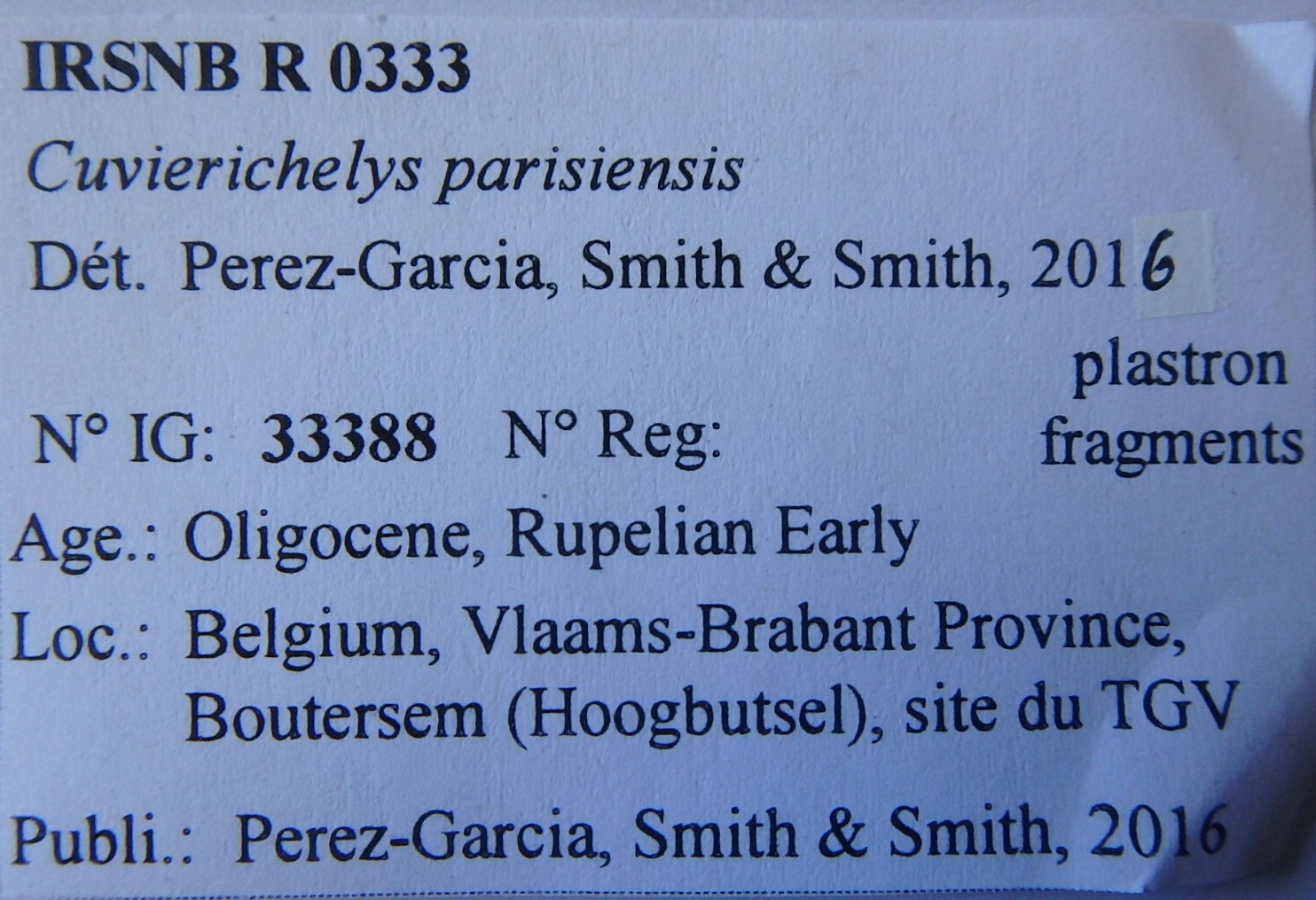 IRSNB R 0333 Labels