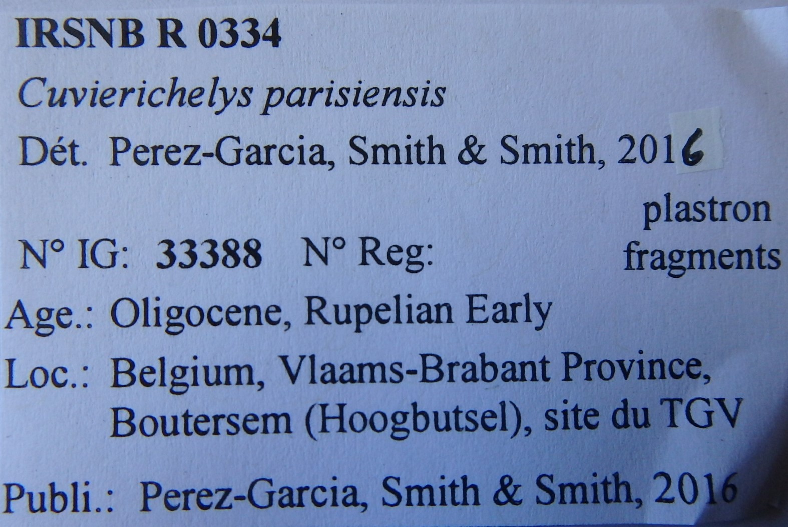IRSNB R 0334 Labels