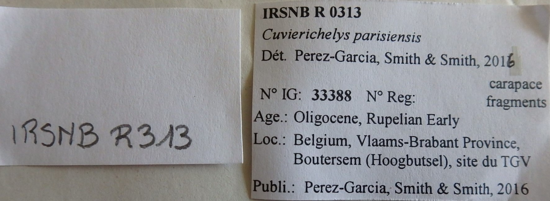 IRSNB R 0313 Labels
