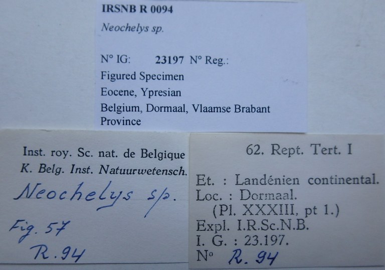 IRSNB R 0094 Labels