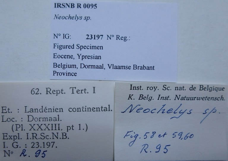 IRSNB R 0095 Labels