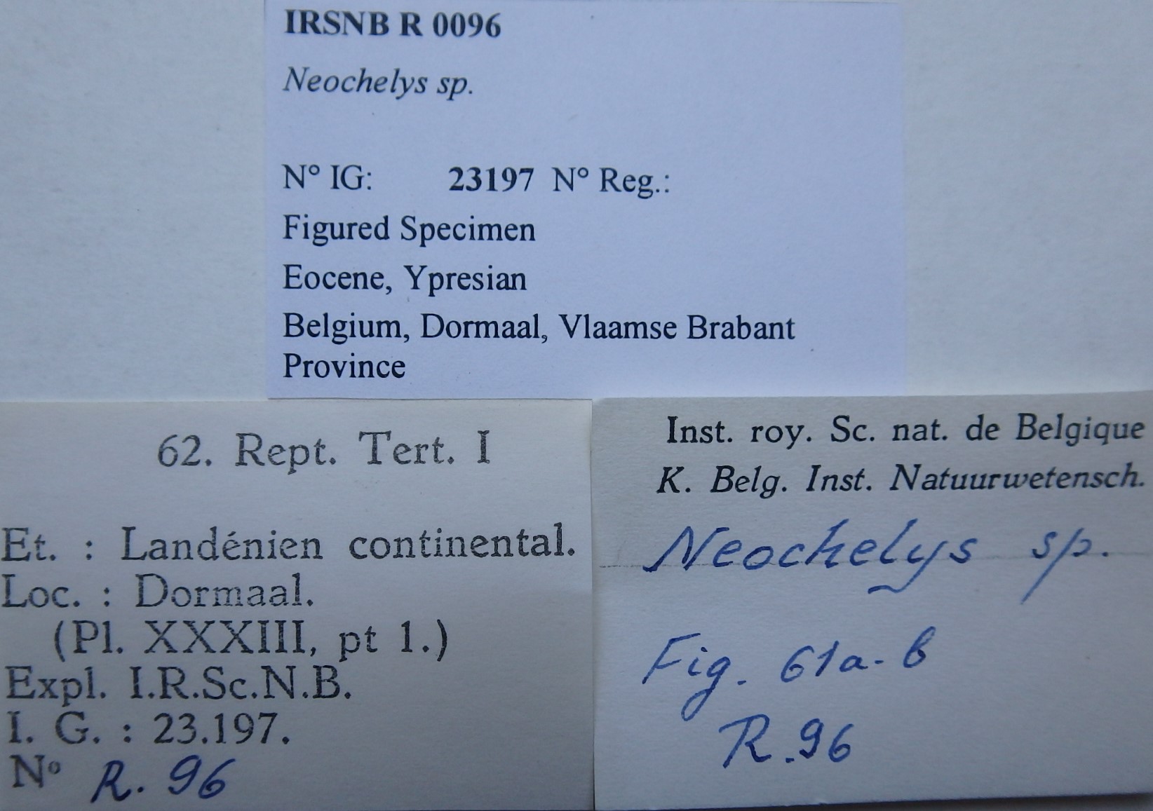 IRSNB R 0096 Labels
