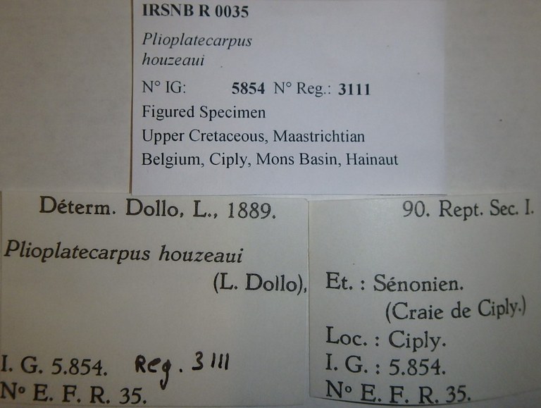 IRSNB R 0035 Labels