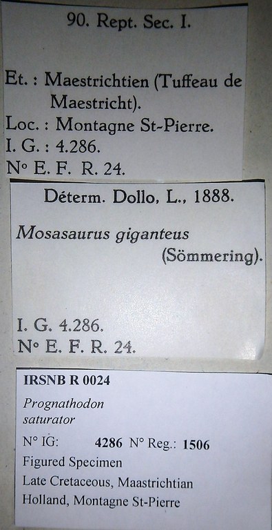IRSNB R 0024 Labels
