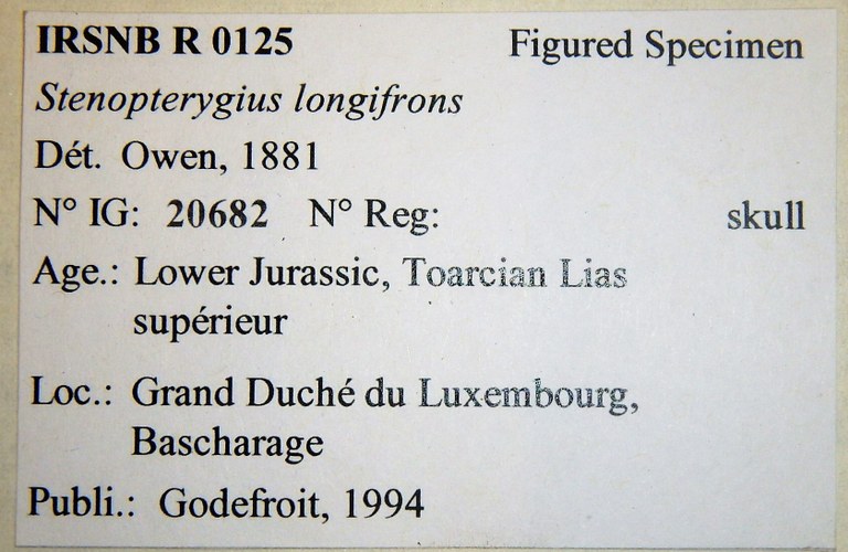 IRSNB R 0125 label