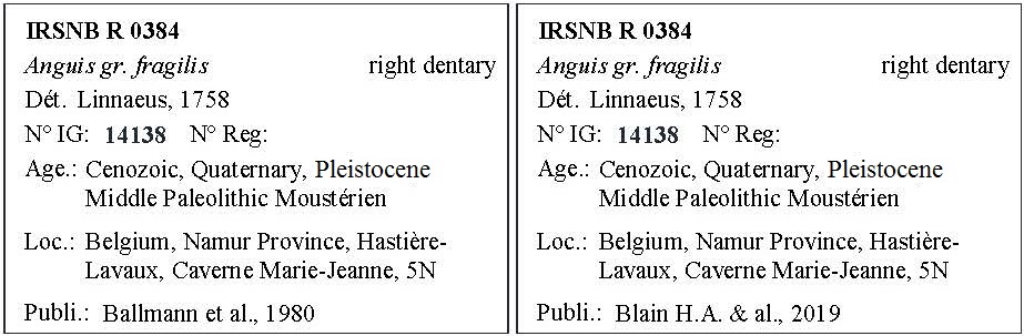 IRSNB R 0384 Labels