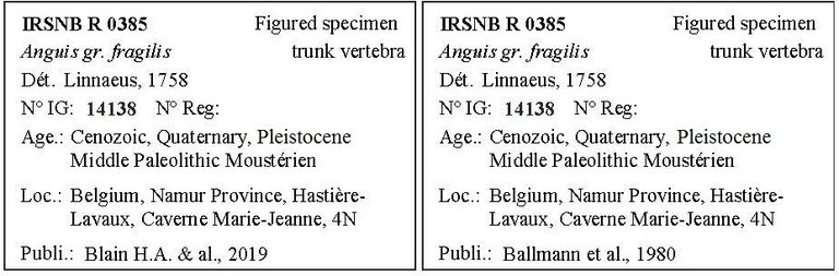 IRSNB R 0385 Labels