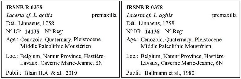 IRSNB R 0378 Labels
