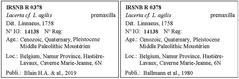 IRSNB R 0378 Labels