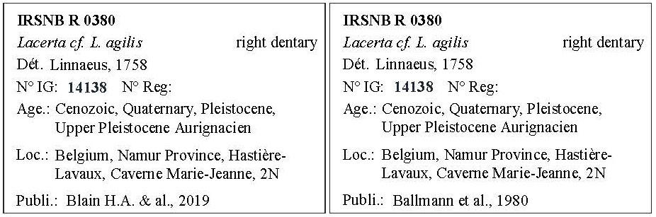 IRSNB R 0380 Labels