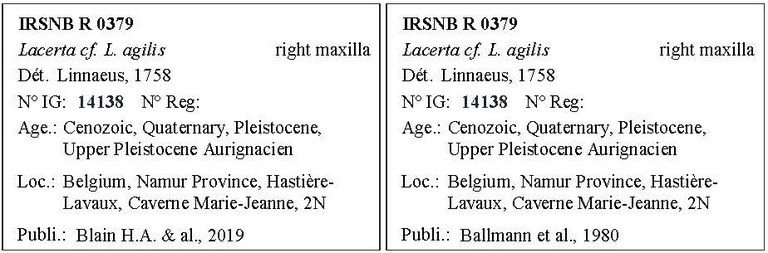 IRSNB R 0379 Labels