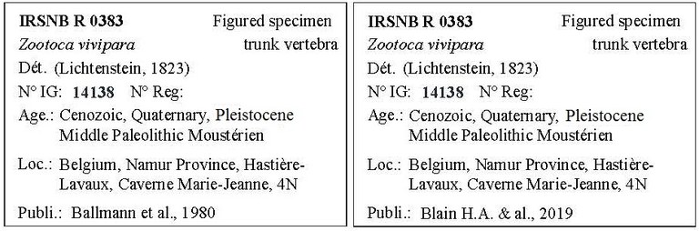 IRSNB R 0383 Labels