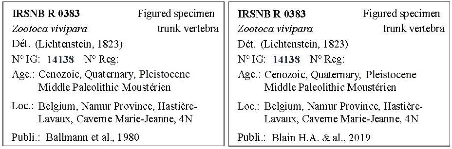 IRSNB R 0383 Labels