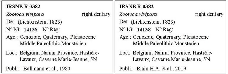 IRSNB R 0382 Labels