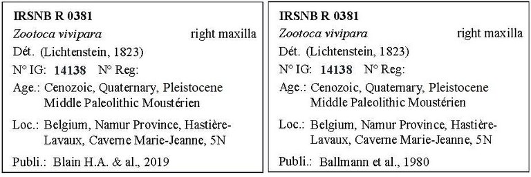 IRSNB R 0381 Labels