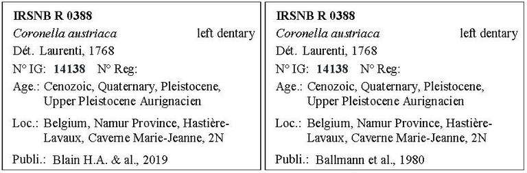 IRSNB R 0388 Labels