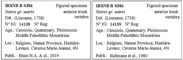 IRSNB R 0386 Labels