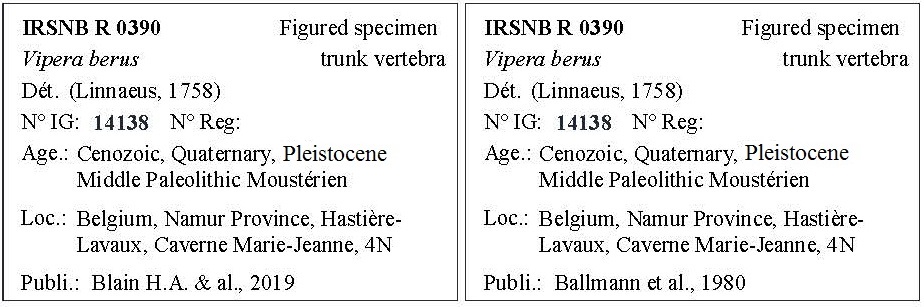 IRSNB R 0390 Labels