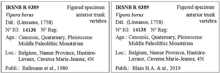 IRSNB R 0389 Labels